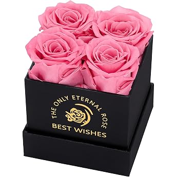 Rose Box with 4 Infinity Roses Pink Eternal Rose Preserved Flowers Gift Box Valentine's Day Mother's Day Birthday Wedding Anniversary Gifts for Mother Girlfriend Wife Grandma Women