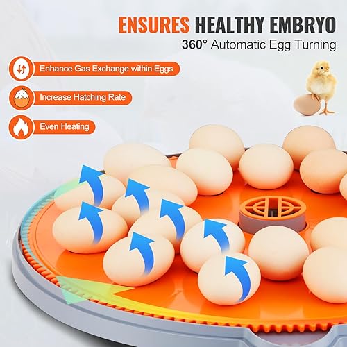 Miniatura 4 de VEVOR Incubadora de huevos, incubadoras para incubar huevos, girador automático de huevos con control de temperatura y humedad, 24 huevos para criar