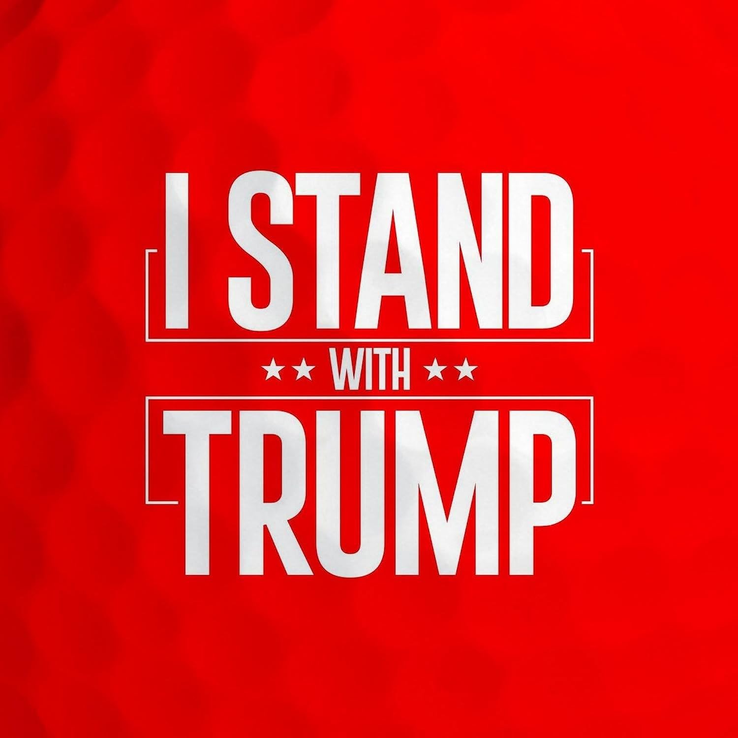 CafePress I Stand with Trump Full Blee Novelty Golf Balls (Pk of 12)