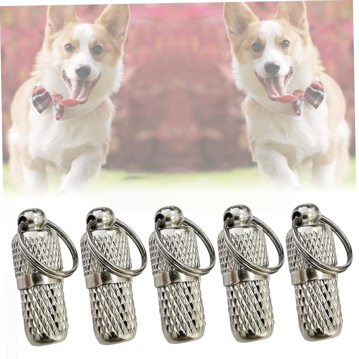iplusmile 5 Series Placa De Identidad Colgante Pequeño Etiqueta De Nombre Placas De Identificación Para Perros Grabadas Dirección Suministros Para Mascotas Silver 10 Piezas X 5