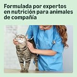 Ver la foto 3