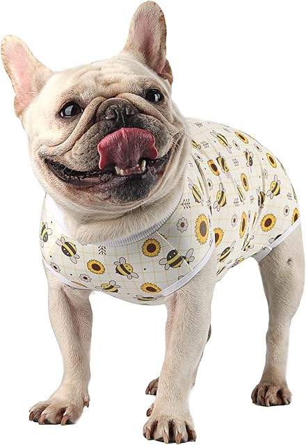 Etdane Dog Recovery Suit After Surgery Onesies Surgical Vest for Female Male Doggy Cat Pet Post-Operative Bodysuit Bee/XS