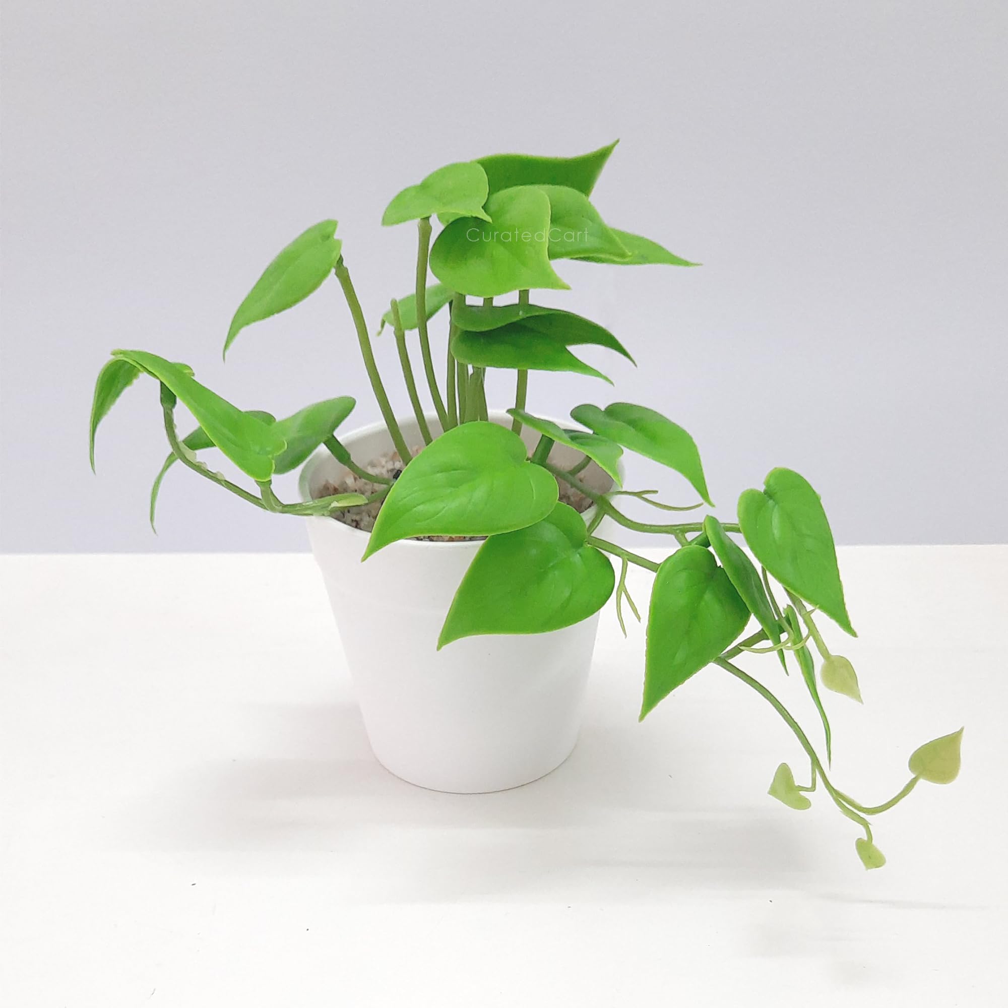 CURATED CART Artificial 12 CM Pothos Plants with White Plastic Pots, Faux Plant, Fake Hanging Plants for Shelf Decor Desk Home Office Garden Decoration (Pack of 1)