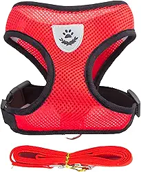 Coleira Peitoral para Cães e Gatos Ajustável Anti-Puxão com Tiras Reflexivas, Material Respirável e Confortável para Passeios Seguros - H2F STORE (VERMELHO, GG)