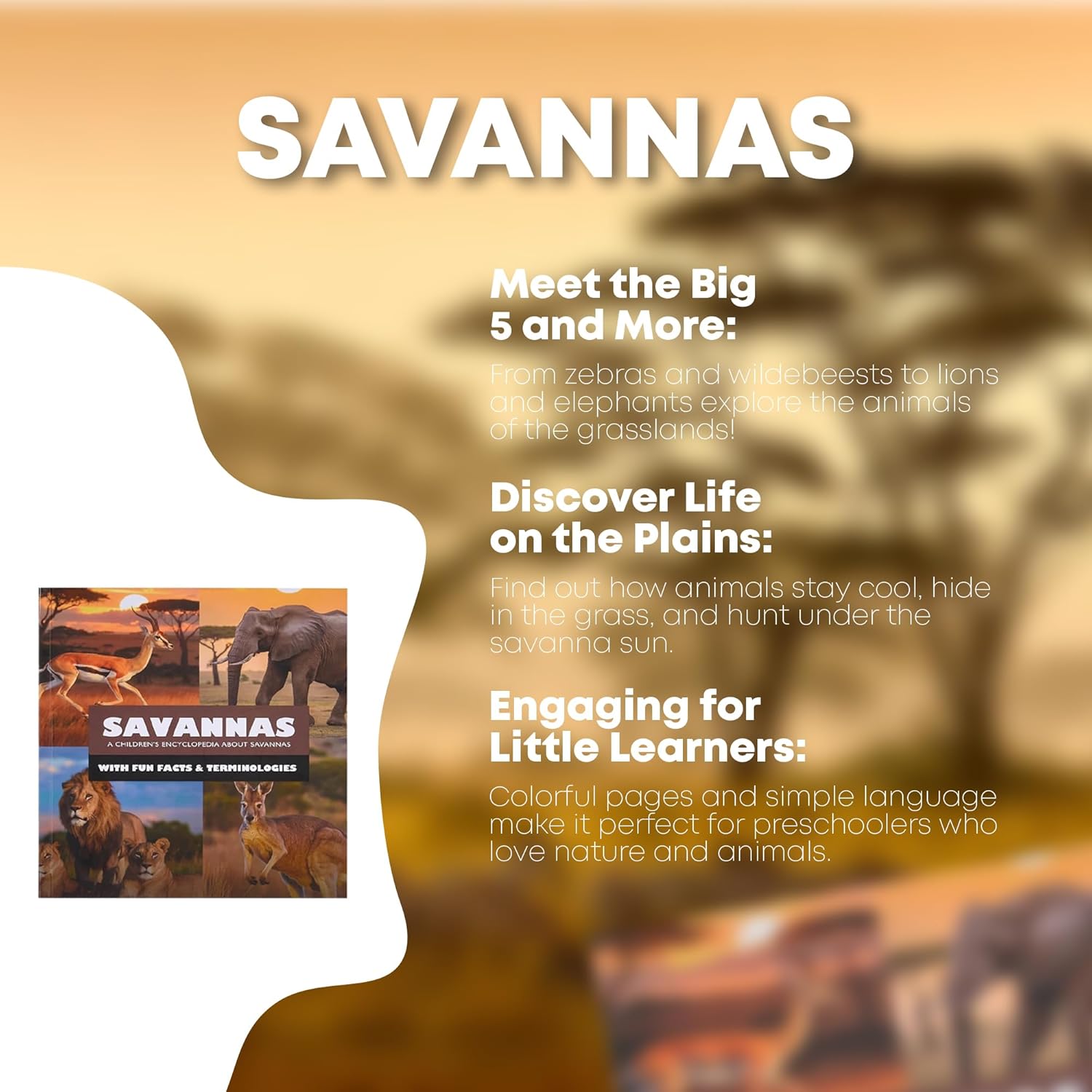 Mini Explorers - Explore Habitat Book Set: Animal Encyclopedia for Kids Ages 3-6: Science Book Box Set of 4 Covering Animal Facts, Plants, and Biomes ... Kindergarteners and Preschoolers (Hardcover) - Image 6