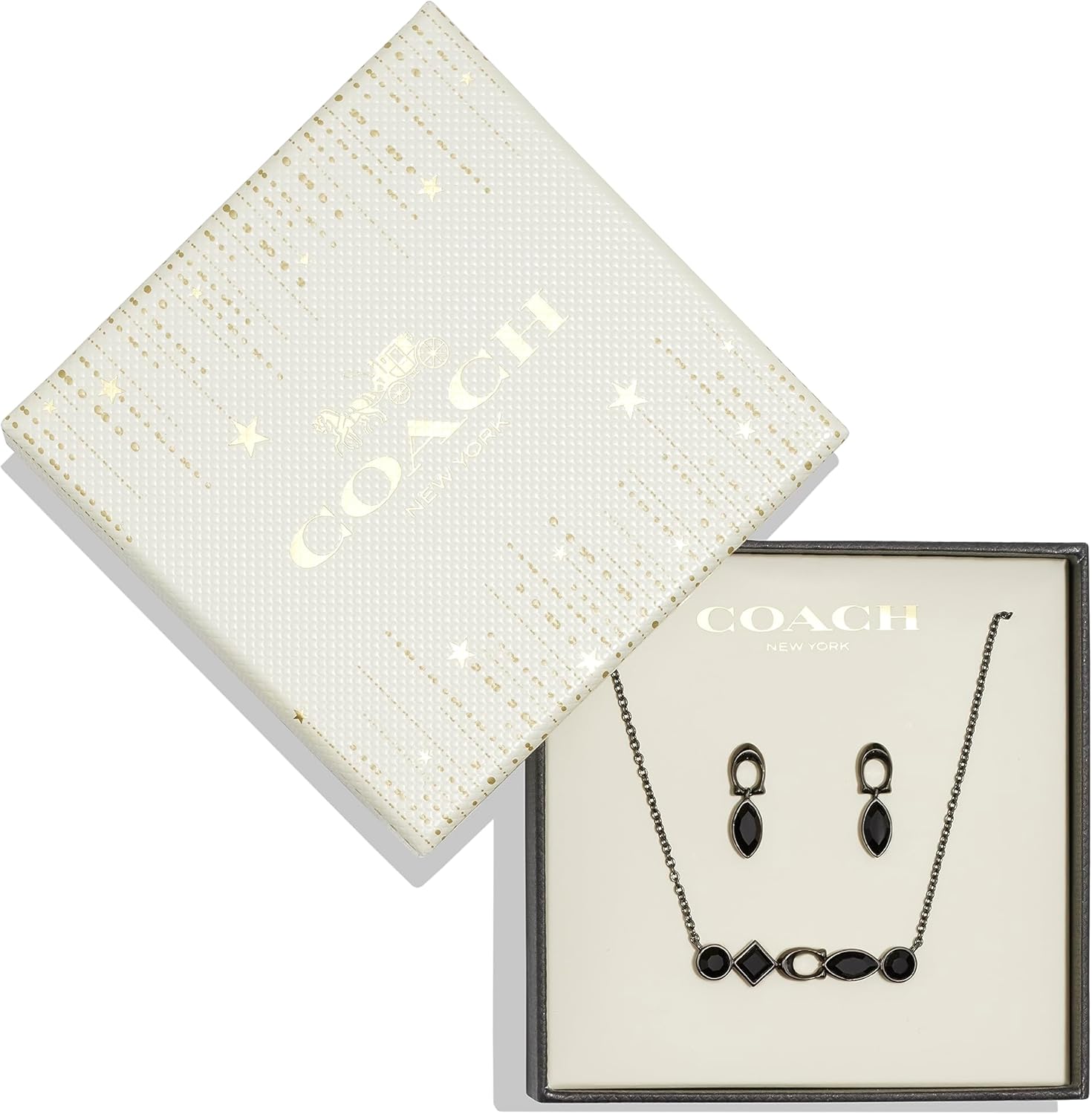 Coach Women's Gemstone Earring and Necklace Set