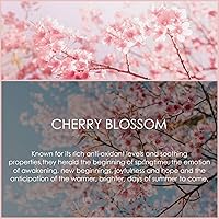 Vista 3 de SALKING - Aceite esencial de flor de cerezo, 4 onzas líquidas, aceites esenciales de aromaterapia puros y naturales, aceites esenciales