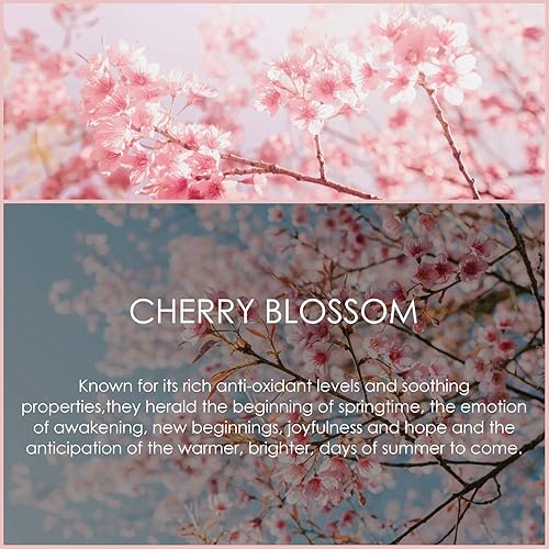 Miniatura 3 de Aceite esencial de té blanco de 4 onzas líquidas (4.1fl oz), aceite de fragancia de aromaterapia puro y natural, aceite de camelia sinensis para