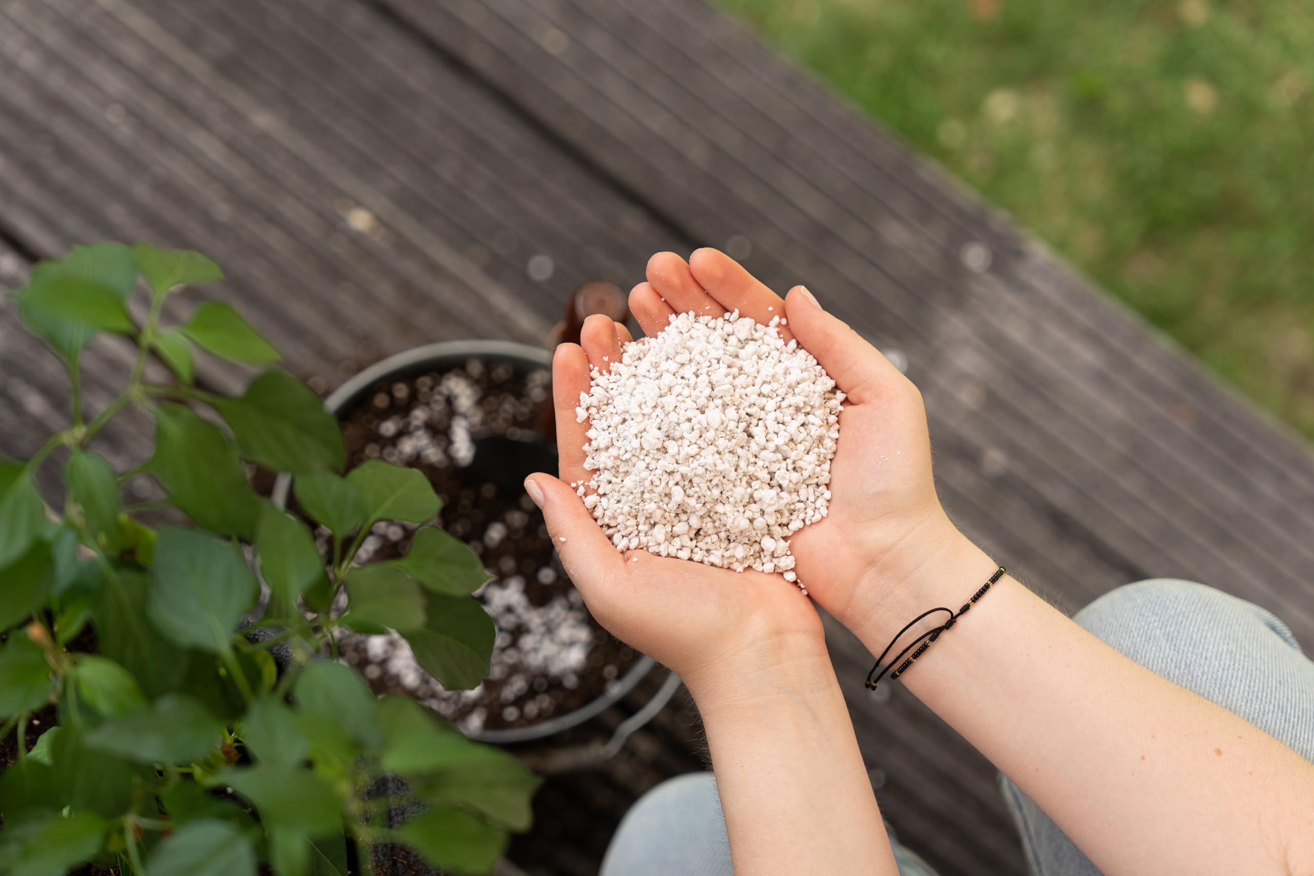 Floragard Perlite 4x5 Litres 132661 - Aération Et Drainage Optimal Pour Une Croissance Végétale Saine Et Vigoureuse