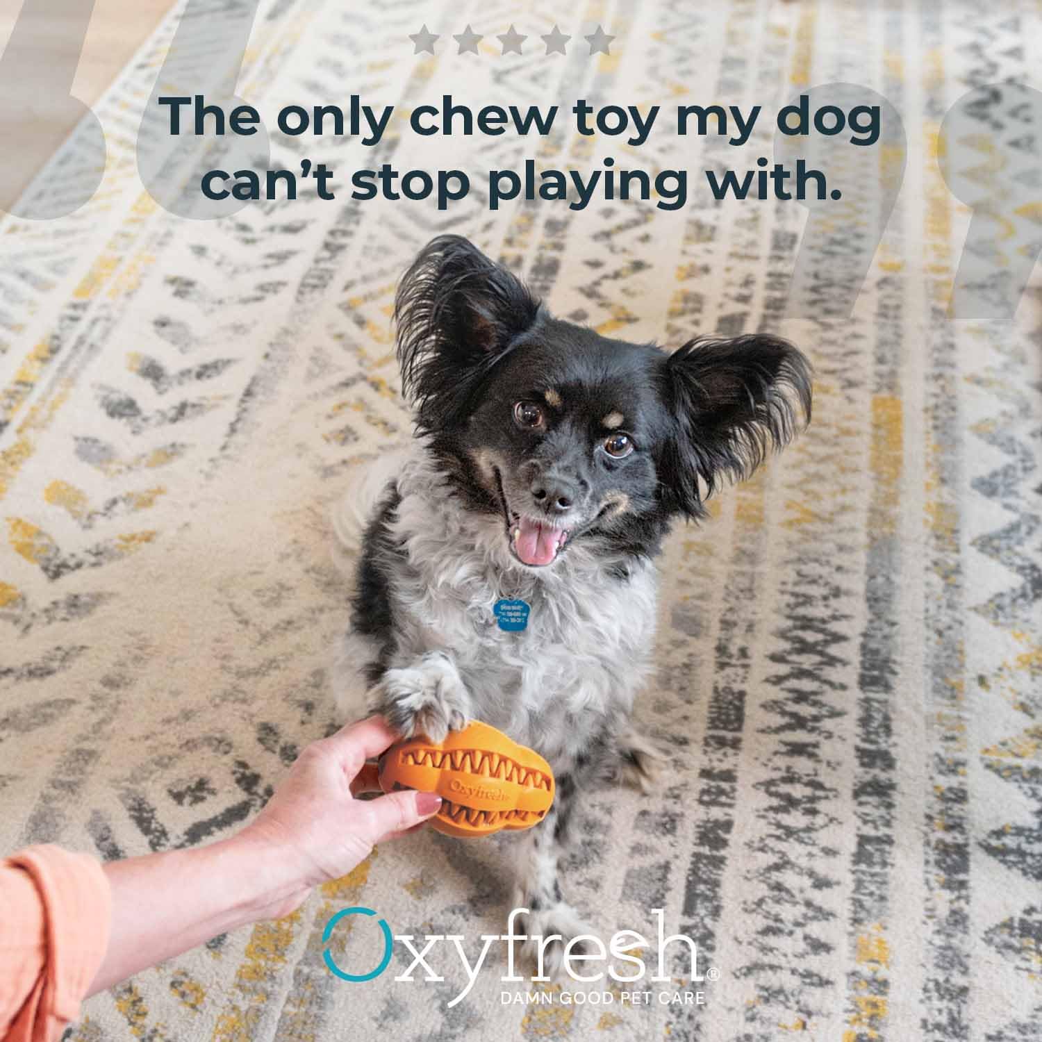 Oxyfresh Juguete dental para perros, el mejor juguete masticable de goma duradero para masticadores agresivos, elimina la placa, limpia los dientes y refresca el aliento sin cepillarse (grande)