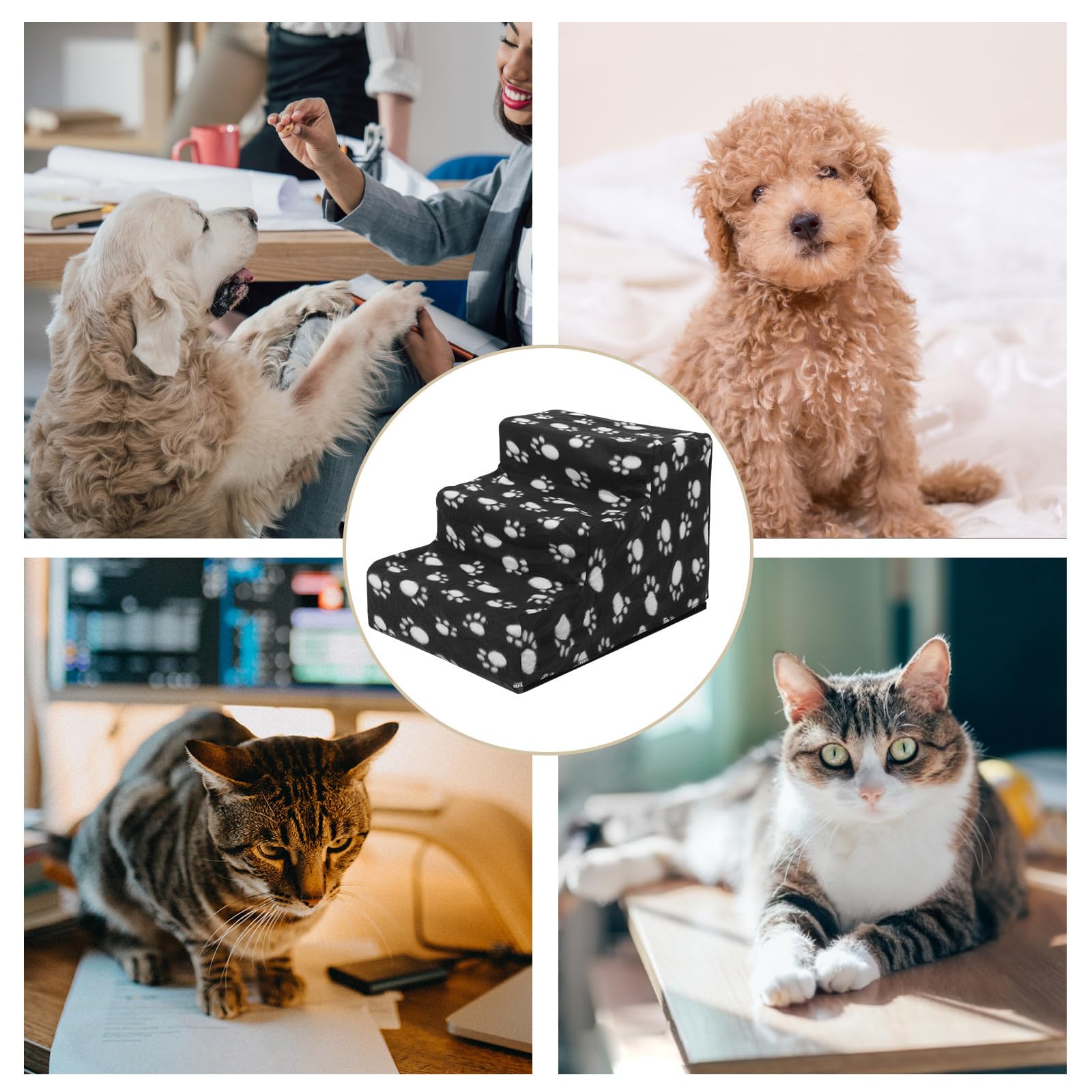 Scala per Cani Antiscivolo Portatile per Letto, Nero, Sicura