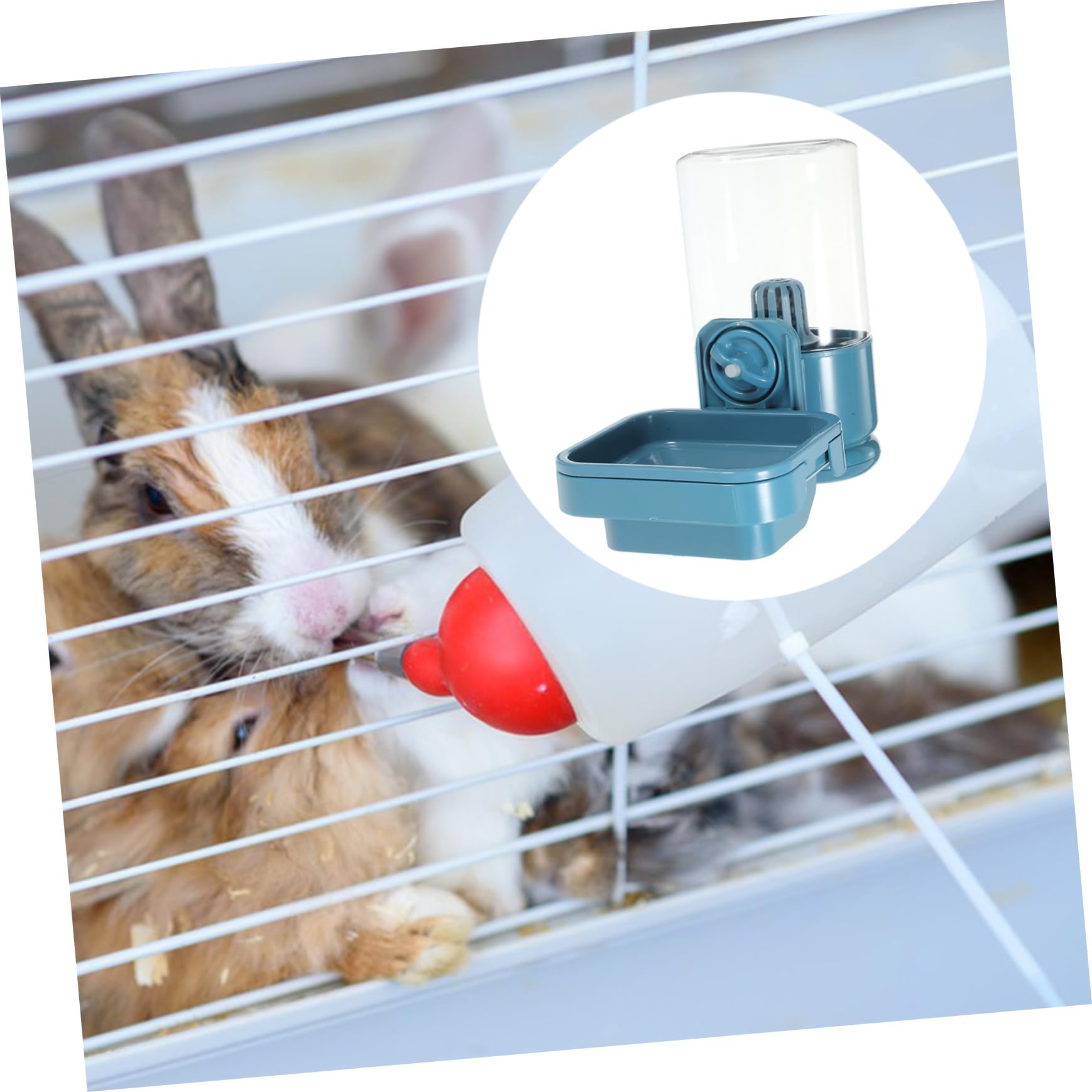 Abaodam Distributore Acqua Per Conigli Mangiatoio Per Piccoli Animali Abbeveratoio in Dispositivo Alimentazione Conigli Dispenser d Acqua Per Gabbia