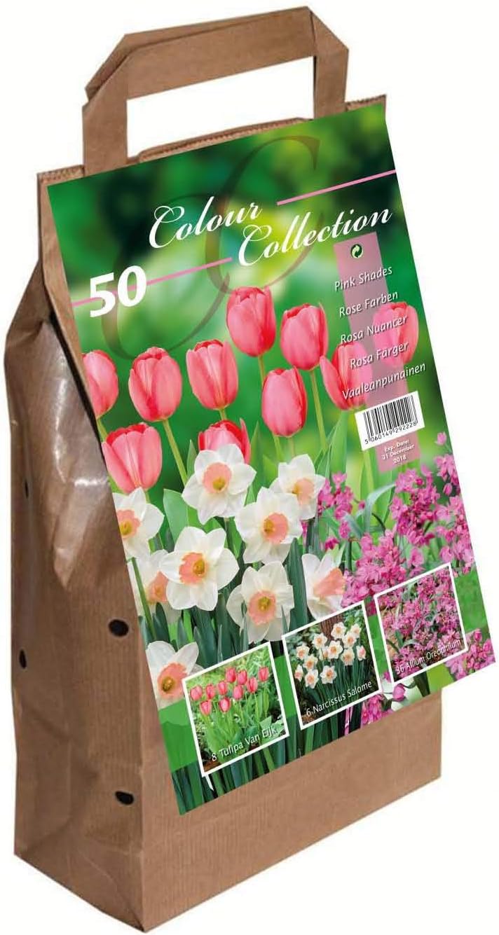 Colour Collection Spring Flower Bulbs - Pink (Pack of 50)