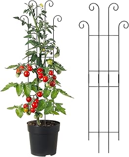 植物用トレリス,金属製植物サポートトレリス 垂直成長用 | 鉢植え花用支柱 - 室内外対応 モンステラ トマト ツル植物 アイビー クレマチス用