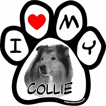 Imagine This Company Dog Picture Paw Shaped Pet Magnet; Removable Magnets for Cars, Fridges, Lockers & More, Stylish Pet Inspired Car Accessories, 5 1/2 x 5 1/2 inches, 1 Item, Black/White, Collie