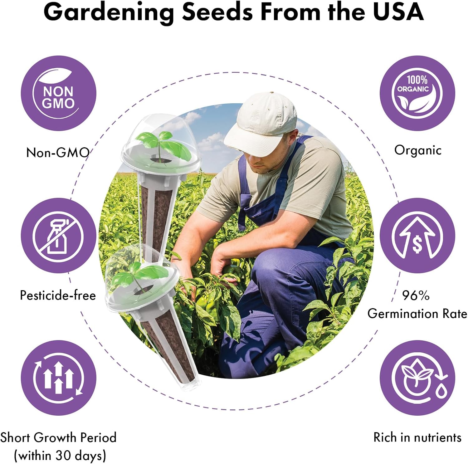 Fruit Seeds Pod Kits and American Fast Lettuce Seeds Pod Kits