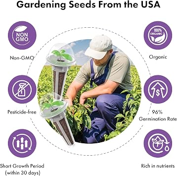 Salad Green Seed Pod Kits and Romaine Lettuce Seed Pod Kits