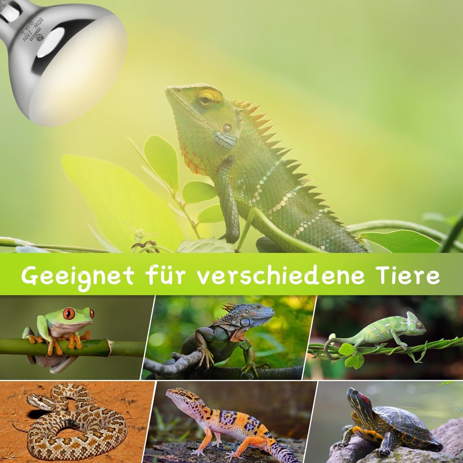 UVA UVB Wärmelampe Terrarium 80W, E27 Reptilien Wärmelampe UVB Lampe, UV Lampen Terrarium für Schildkröten, Bartagamen, Schlangen, Eidechsen