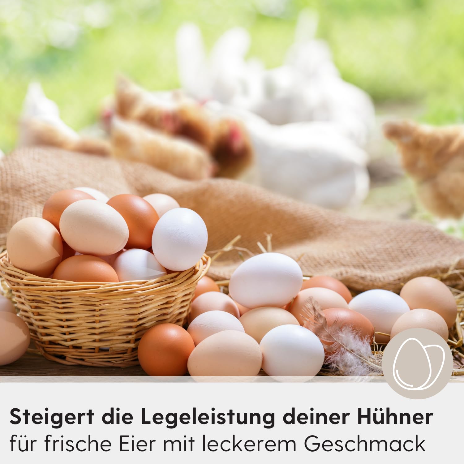 Leimüller Mangime per Galline Contro gli Acari 25 kg - Mangime per galline privo di polvere da 25 kg con certificato AMA e privo di OGM