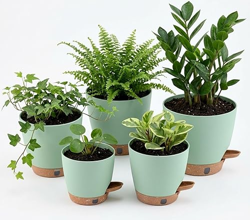 montresor 5 Pack Green 5/5.5/6/6.5/7 Inch Self Watering Planters for