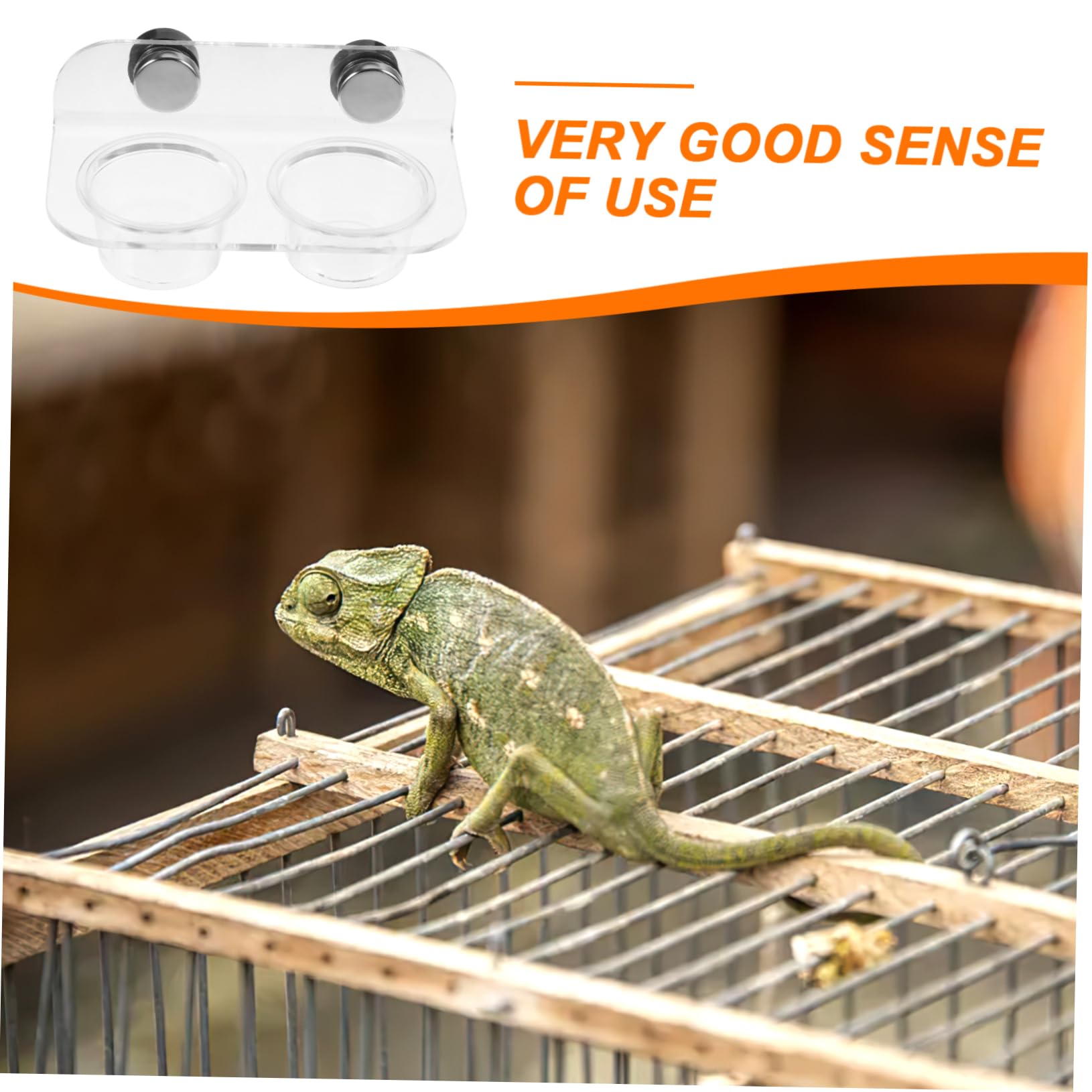 3juegos Cuenco De Agua Magnético para Reptiles Comedero para Gecko y Tortuga Plato Duradero y Fácil De Limpiar para Terrario y Alimentación De Pequeños Reptiles