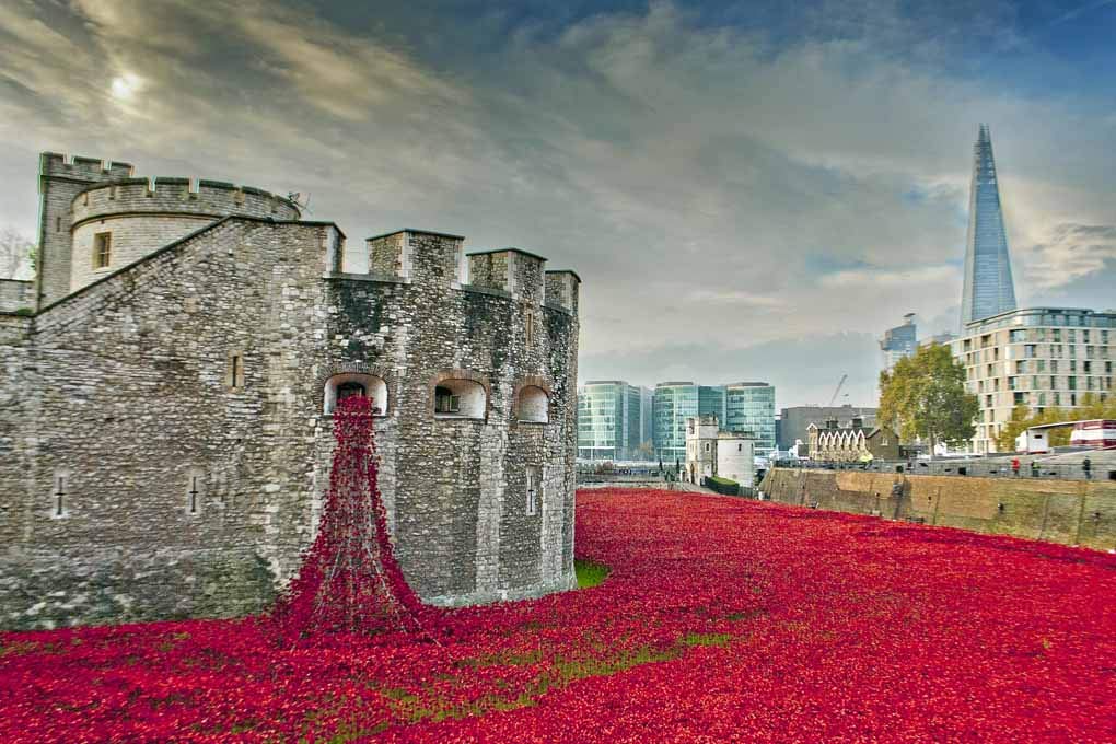 Photo des coquelicots de la Tour de Londres paysage commémoratif UK