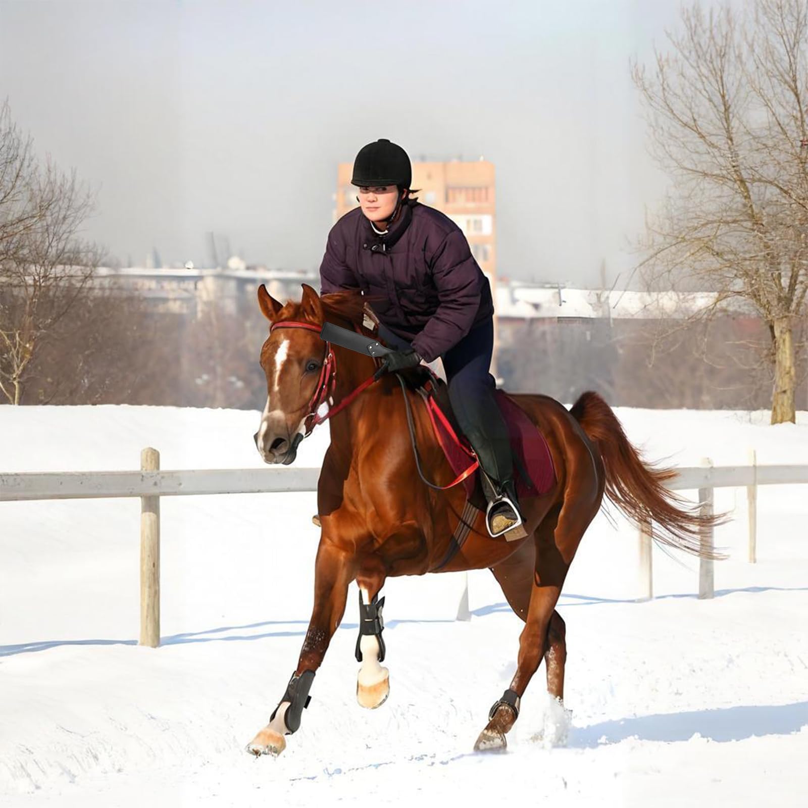 Cravache Noire en Cuir pour Cheval d'Équitation Dressage