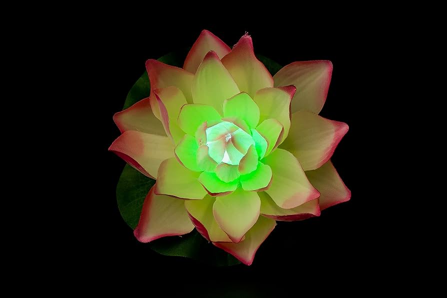 ✿あまちゃんページ (ピンクの蓮の花の仏花) ✿あまちゃん様専用ページ (ピンクの蓮の花の仏花)
