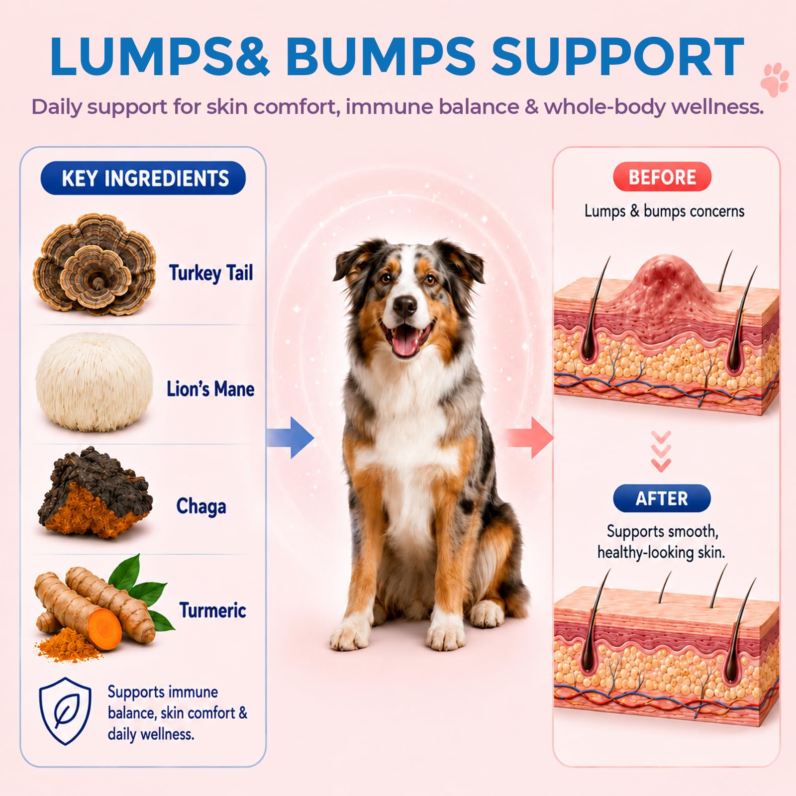 Turkey Tail Mushroom for Dogs & Cats, 14-in-1 Powder, Lumps & Bumps, 180g — Amazon image 6
