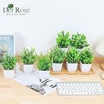 Der Rose 8 Packs Fake Plants Small Artificial Faux Plants for Home Office Desk Accessories Farmhouse Bathroom Bedroom Decor Indoor