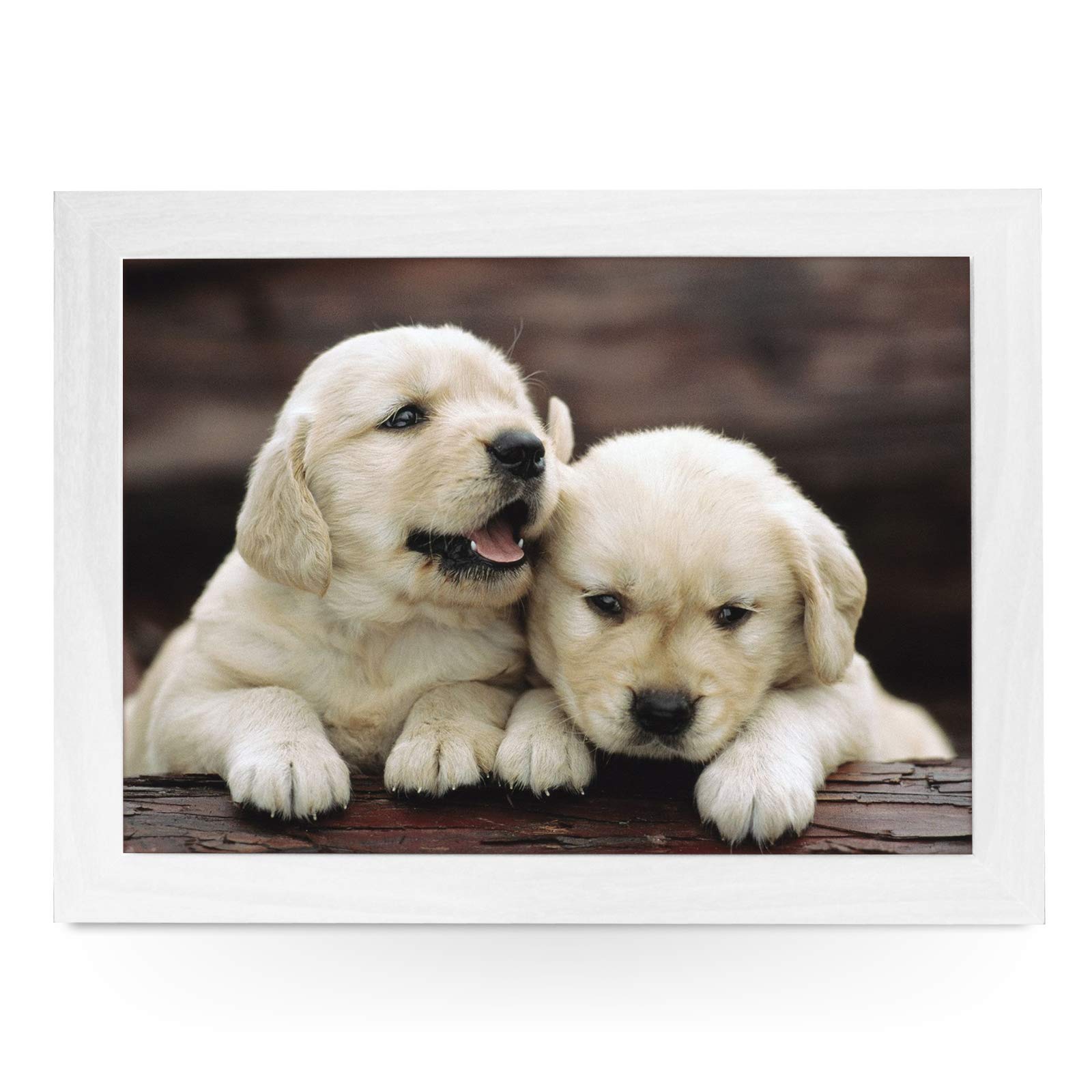 yoosh Portable Lap Desk Tray (Golden Retriever Puppies) Handmade Wooden Frame, Beanbag Cushioned Bottom | Computers, Laptops, Meals, Food | L0002 White