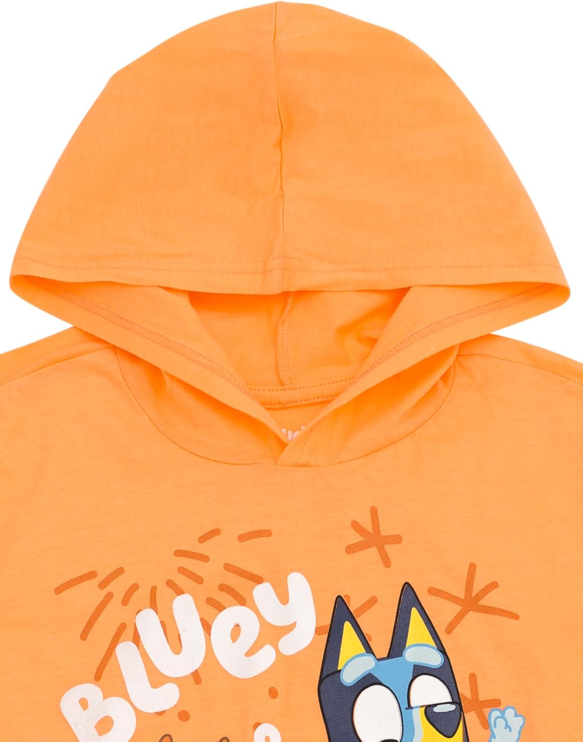 Bluey Hooded T-Shirt and Fleece Jogger Pants Outfit Set Toddler to Big Kid Sizes (2T - 10-12) - Image 6