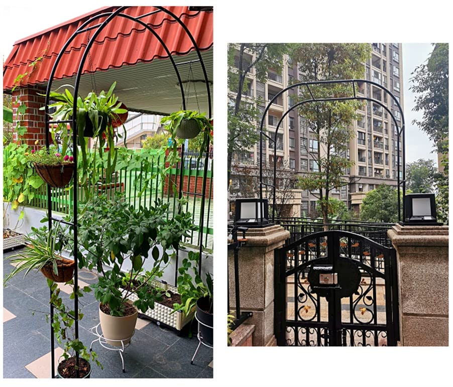 Arche de jardin pour pergola extérieure décoration romantique de mariage cour - 4