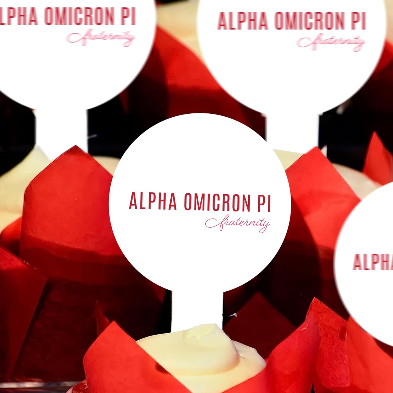 Alpha Omicron Pi Cupcake Toppers, Officially Licensed Sorority Dessert Picks, Solid Plastic, American-Made (Circle, 25, Count)