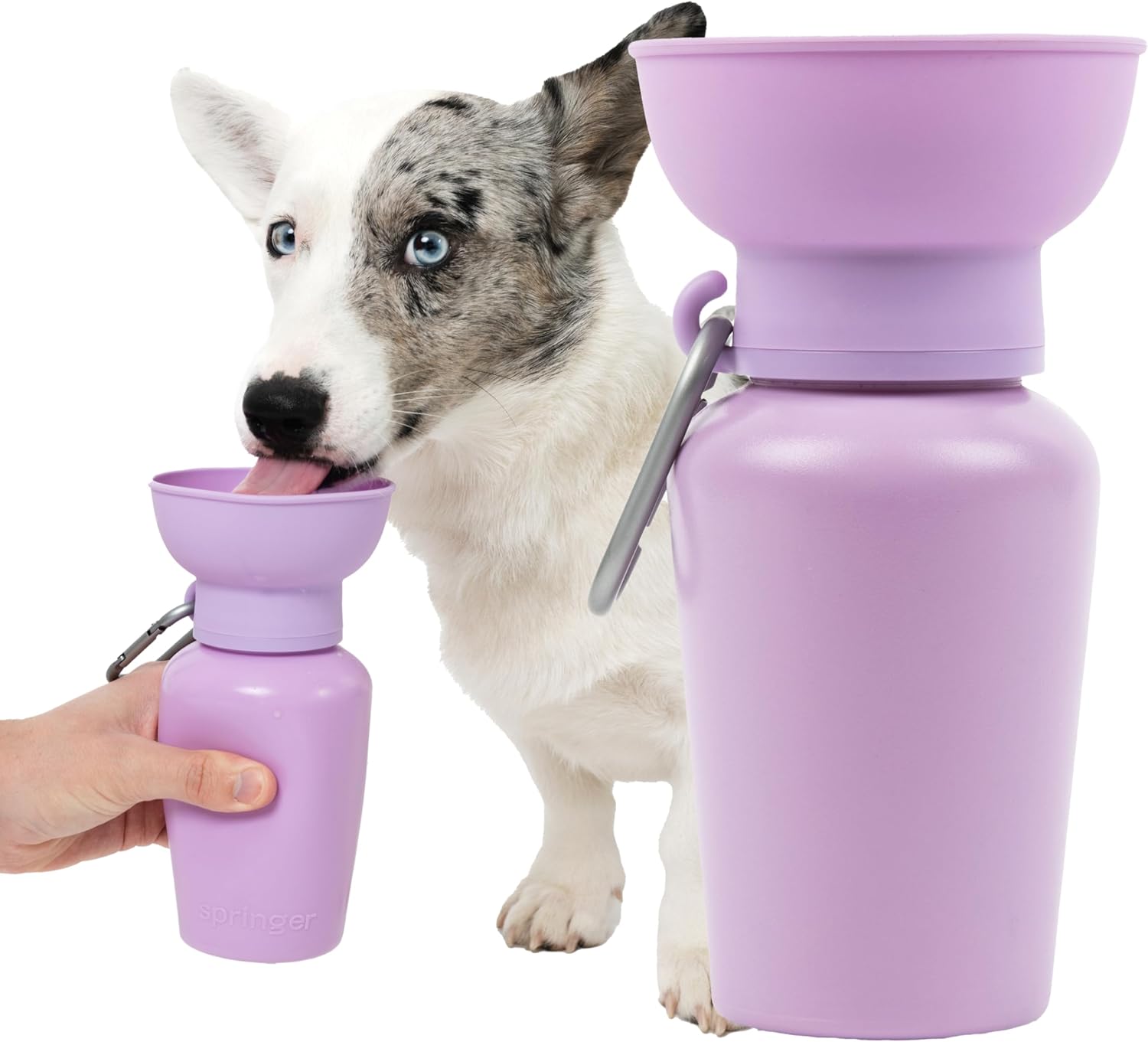 Springland 20oz Portable Dog Water Bottle with Collapsible Bowl, Lilac