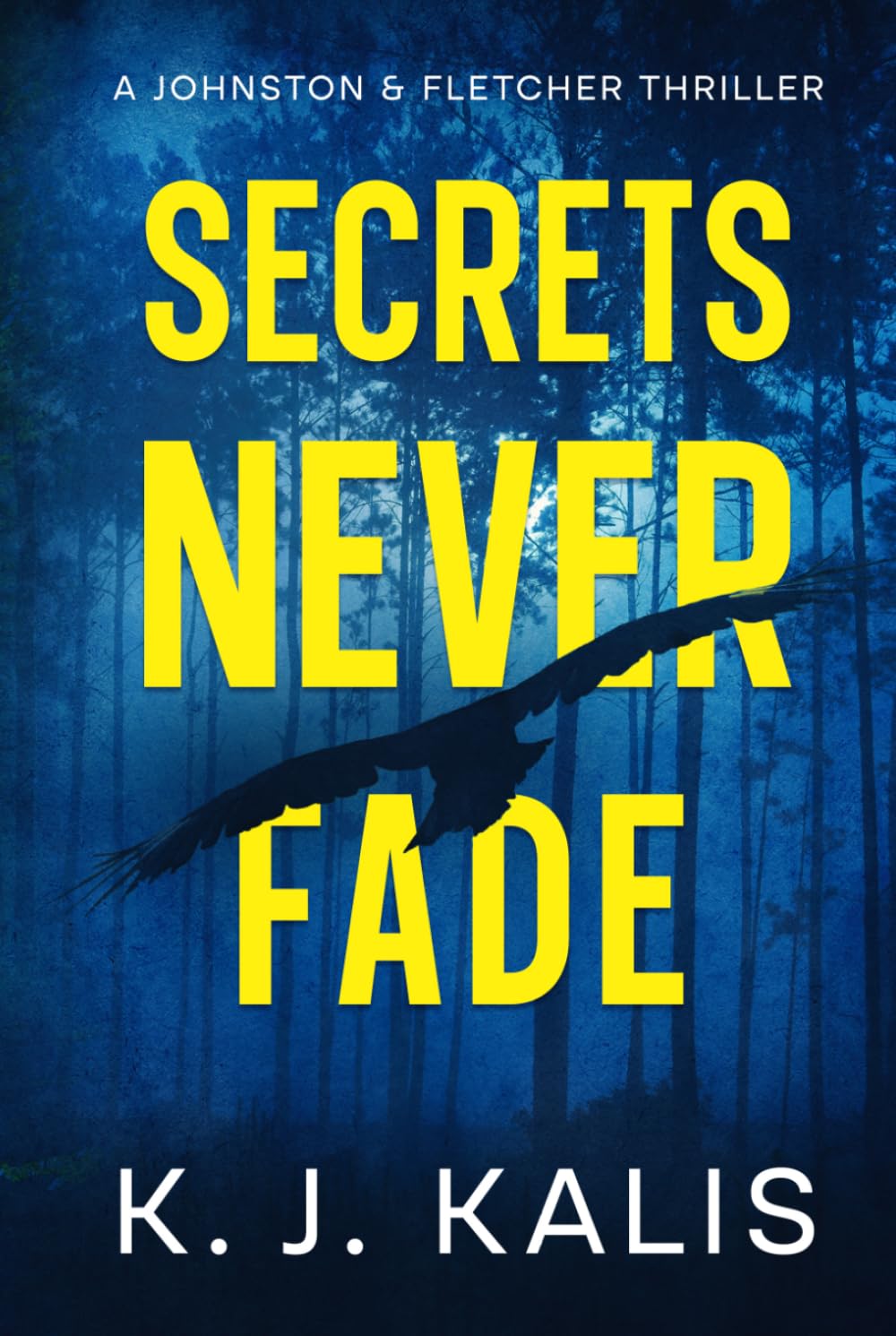 Secrets Never Fade: A Johnston & Fletcher Thriller
