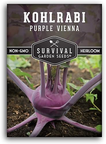 Survival Garden Seeds - Semilla de colinabo púrpura de Viena para plantar - Paquete con instrucciones para plantar y cultivar verduras crucíferas