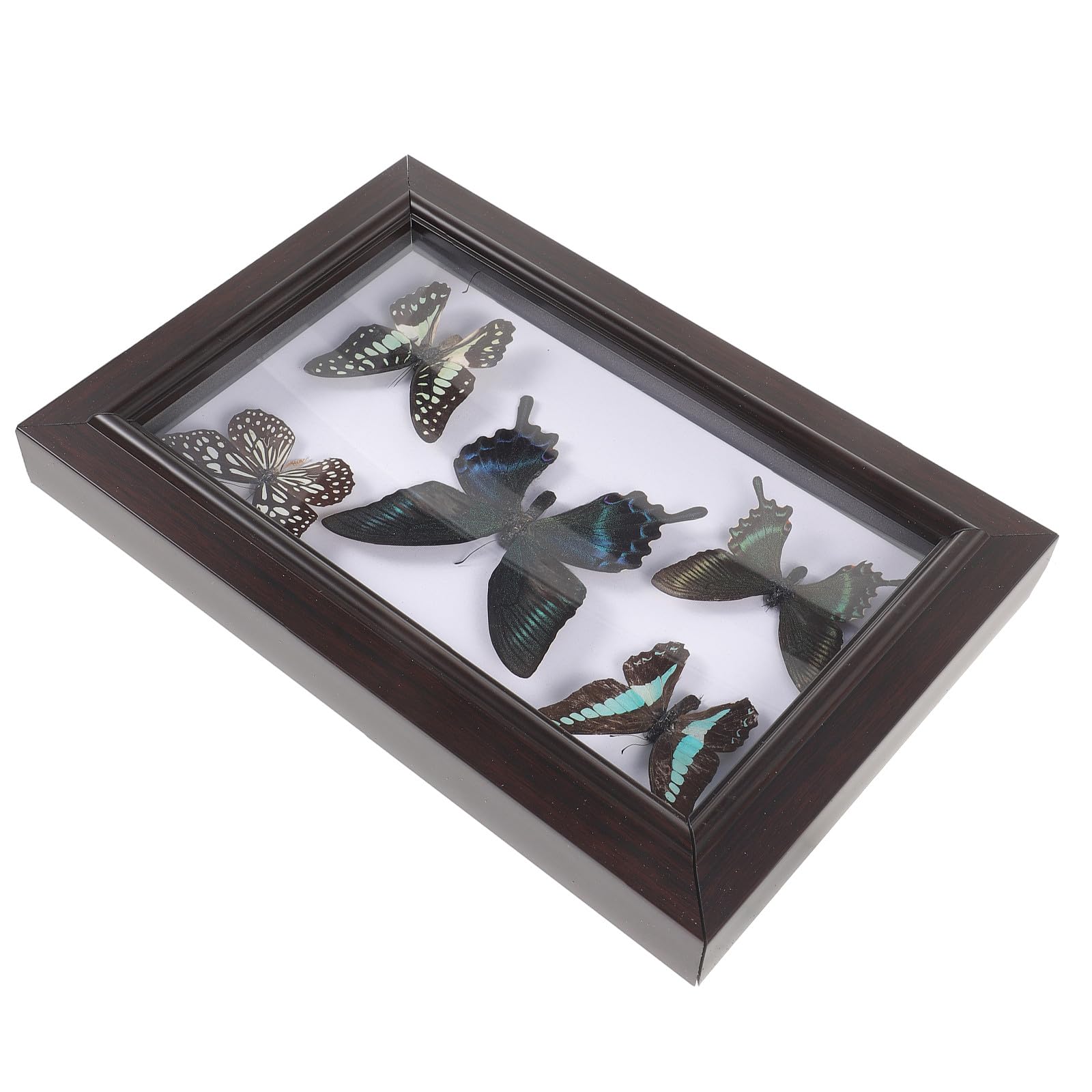 Marco de Muestra de Mariposas Disecadas para Colgar Pared, Decoración Artesanal de Madera, Ejemplar Hecho a Mano, Decoración para Sala de Estar y Colección Educativa, Tamaño A7