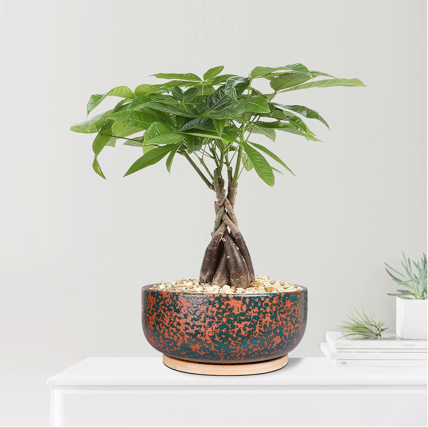 G EPGardening 8 Inch Terracotta Succulent Planter Pot with Drainage Hole Round Shallow Bonsai Planter Pot with Bamboo Saucer Flower Pot for Indoor Plants Green