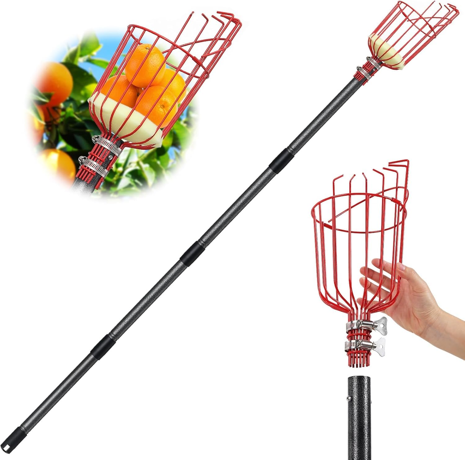 Recolector de Frutas con Varillas de Extensión, 168cm Recogedor de Frutas Fácil de Montar - Recogedor de Manzanas Recolector de Frutas Herramientas
