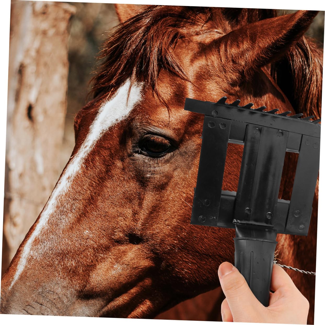 2piezas Cepillo Para Limpiar Pelo De Caballo Accesorio Limpieza Mango Ergonómico Práctico y Fácil De Usar