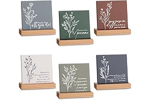 Sieral 6 Inspirational Desk Decor: A Heartfelt Team Gift