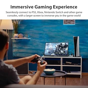 Amazon.com: InnoView Portable Monitor 18.5 inch 100HZ 120