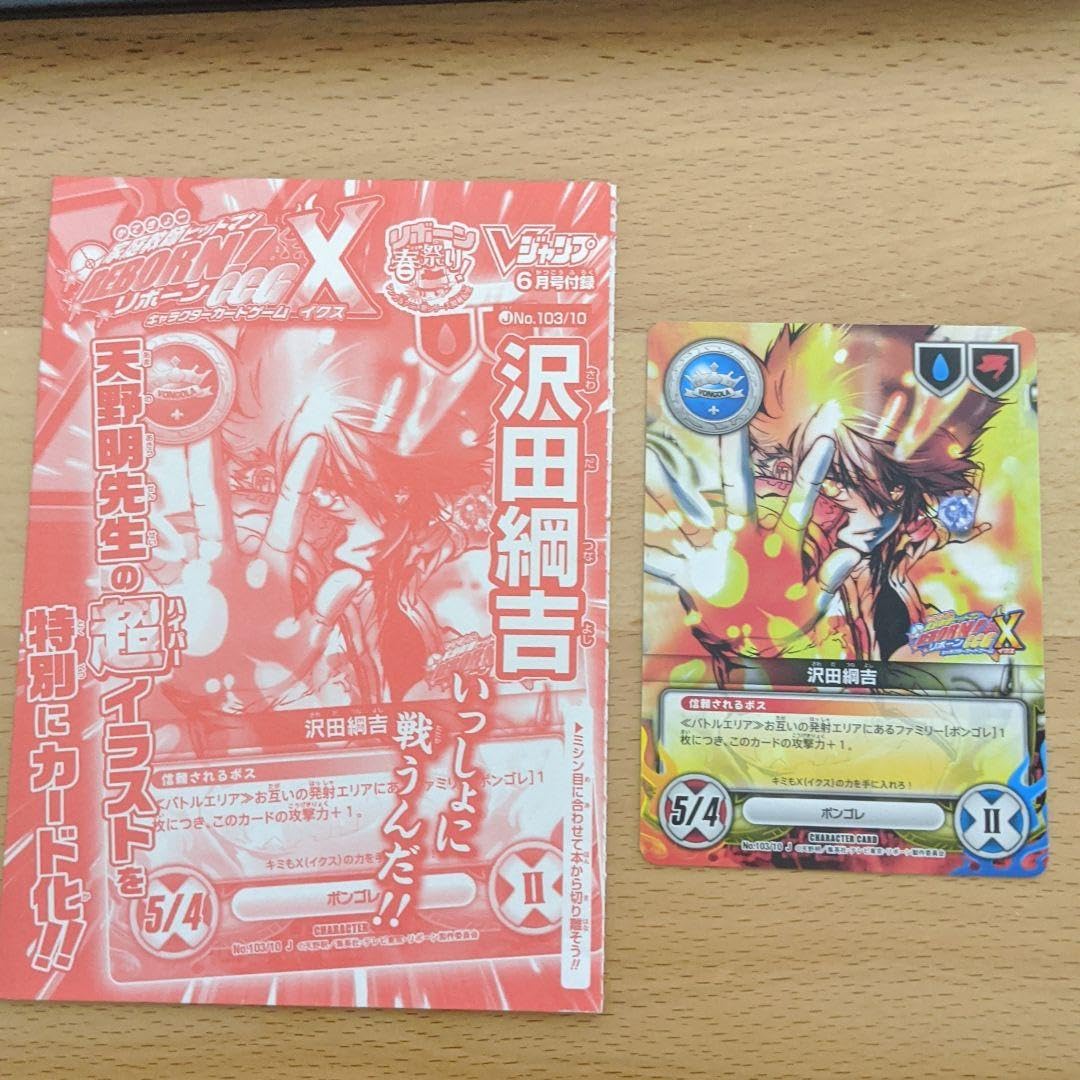 沢田綱吉 レンチキュラーカード 沢田綱吉 雲雀恭弥他 15枚セット 家庭教師ヒットマンリボーン