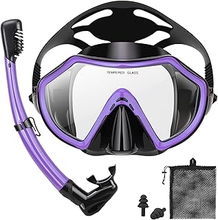 Snorkeling Gear for Adults, Dry Adult Snorkel Set HD Panoramic View Snorkel Mask Set, Anti-Leak and Anti-Fog Scuba Diving Package with Mesh Bag Ear Plug for Snorkeling Scuba Diving Travel