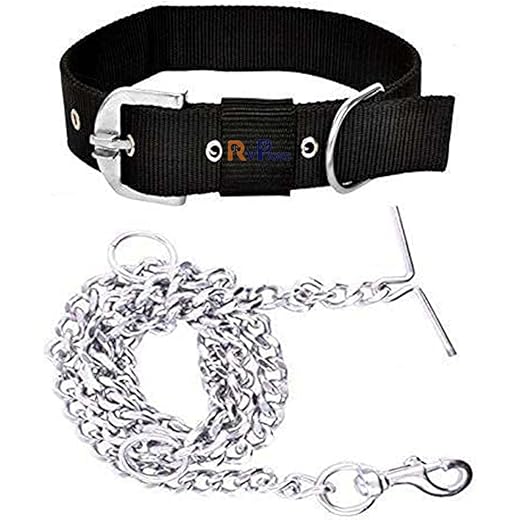 RvPaws Dog Belt 1 Inch Nylon Collar + Chain 63 Inch
