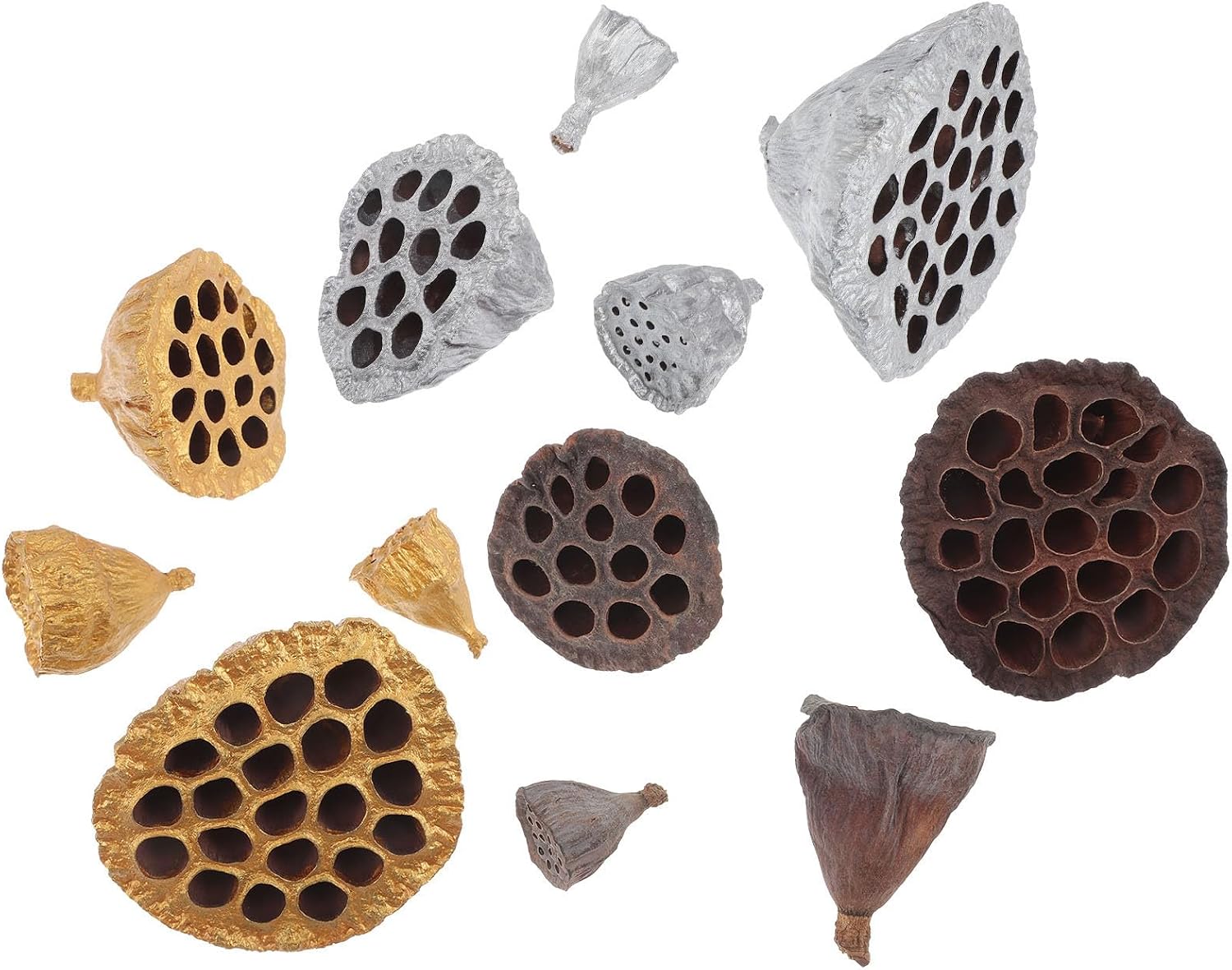 12pcs Natural Dried Lotus Seedpods for DIY Decor, Christmas | Mixed Style Dried Flower, Long Lasting, Not Easy to Break or Deform