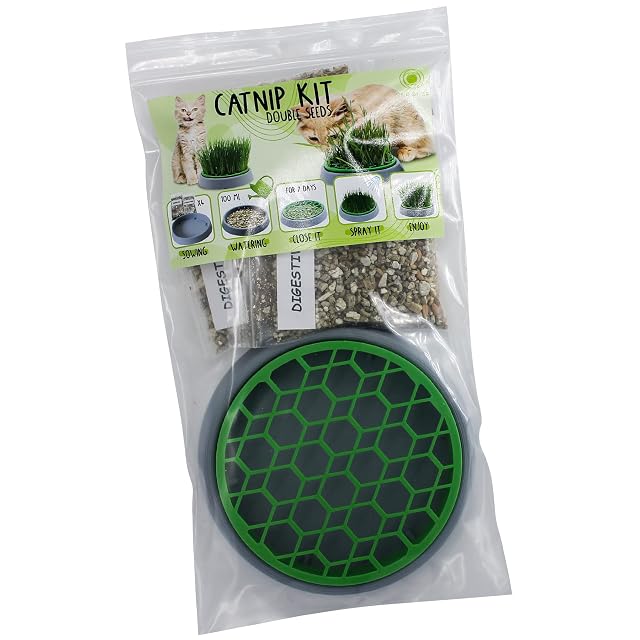Foto 5 de 6 de R&R SHOP - Kit de Hierba gatera Double Seeds