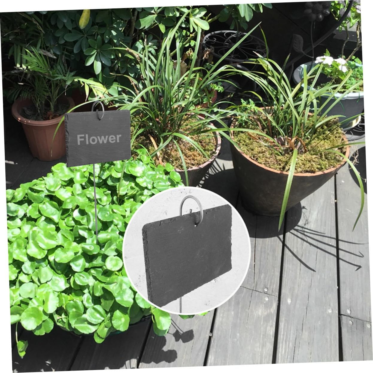 BESPORTBLE Etichette per Piante in Ardesia Nera, Facili da Scrivere, Leggere e Portatili, per Fioriere e Aiuole, Accessori da Giardino