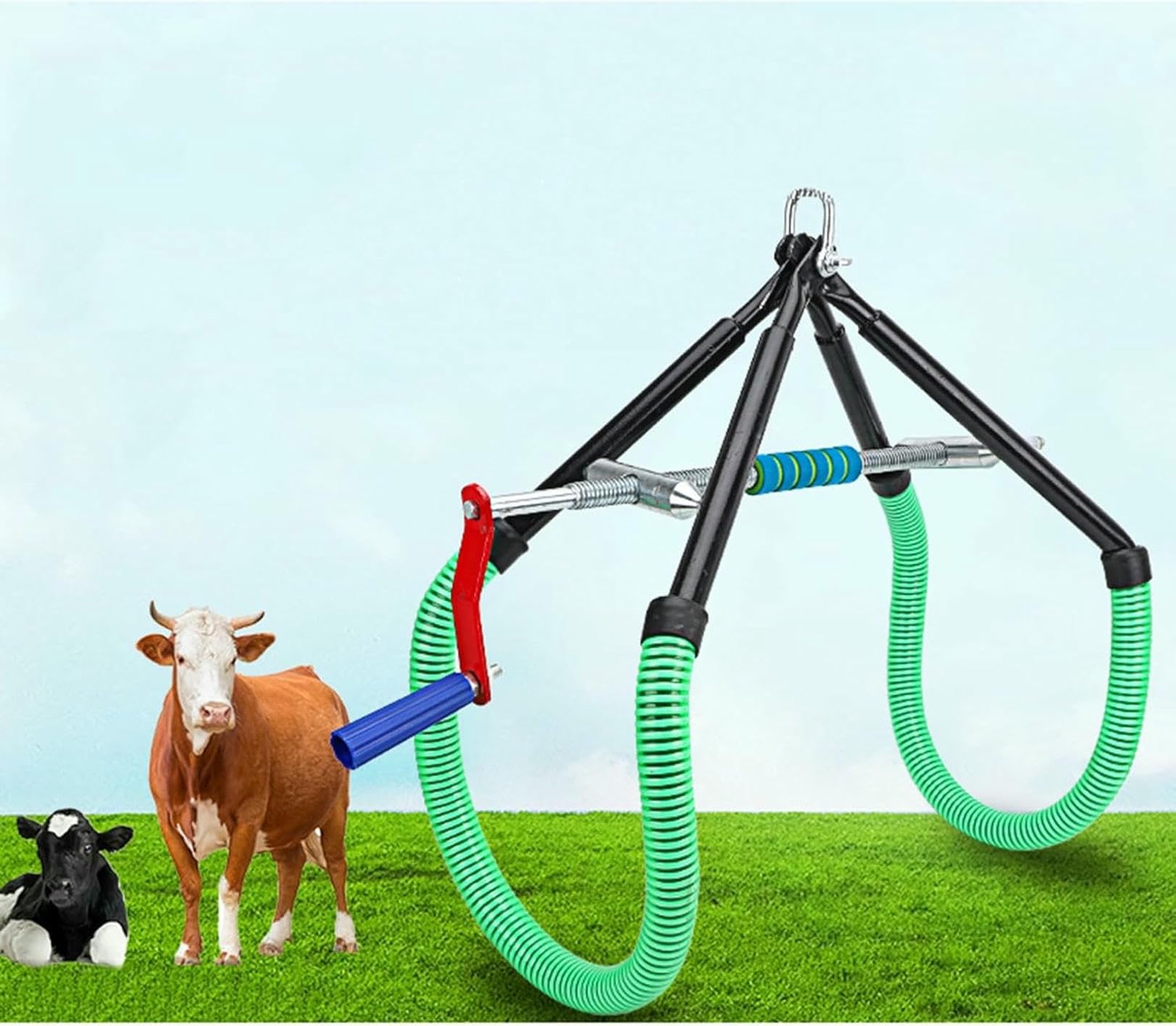Élévateur de hanche de vache en acier pour ferme laitière, OB Traite des bovins boiteux, aide post-partum bovine